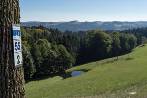 Ferienappartements Rausch