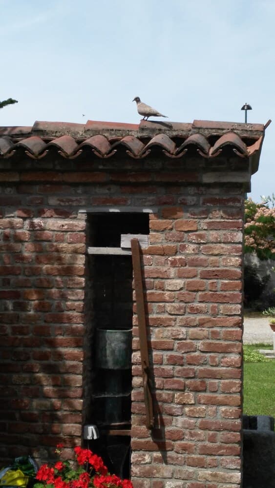 B&B Il Giarolo