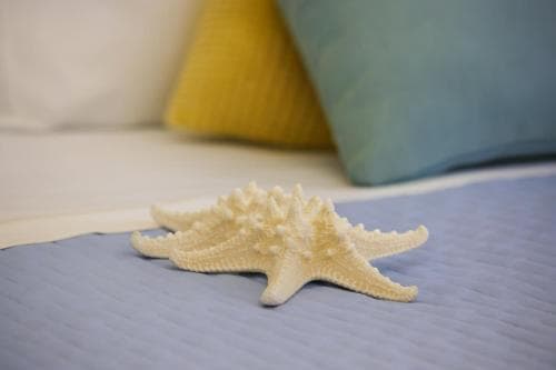 A serene coastal bedroom scene features a white starfish resting on a blue quilted bedspread, complemented by soft yellow and teal pillows, ideal for travelers seeking a tranquil seaside retreat ambiance.