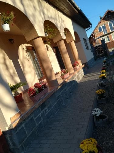 Narcisz B&B