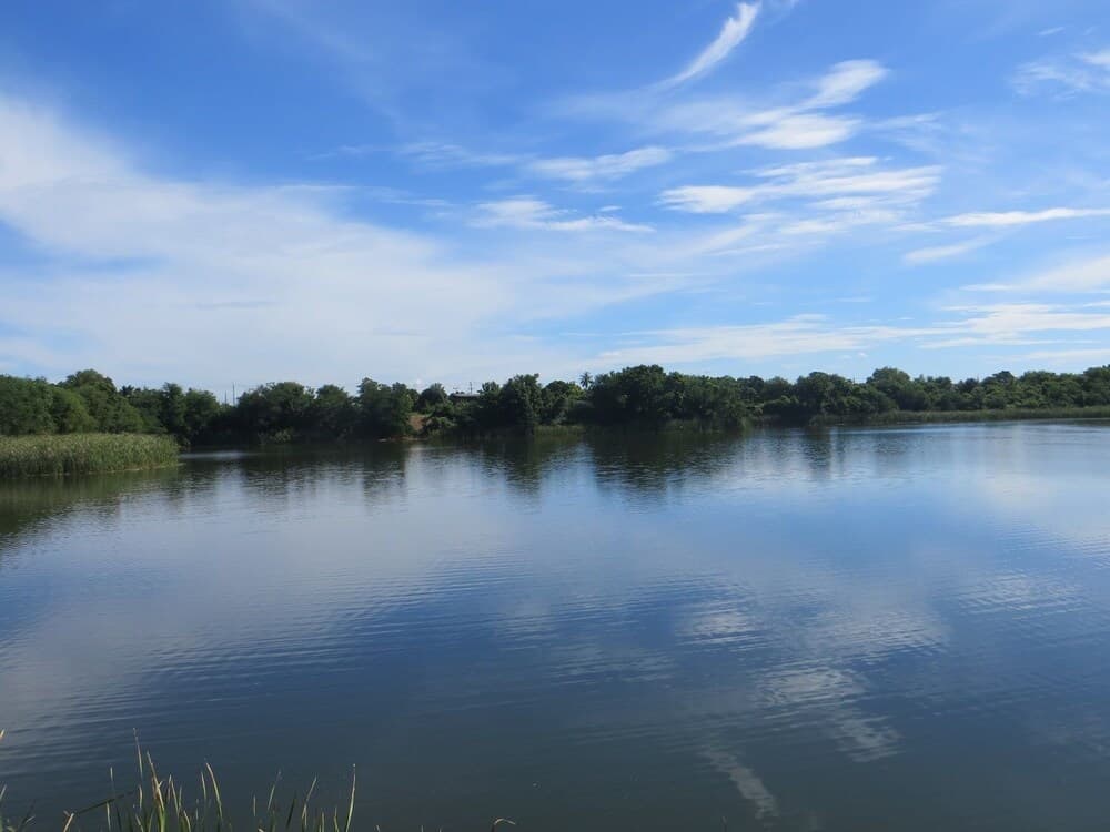 River Garden 888