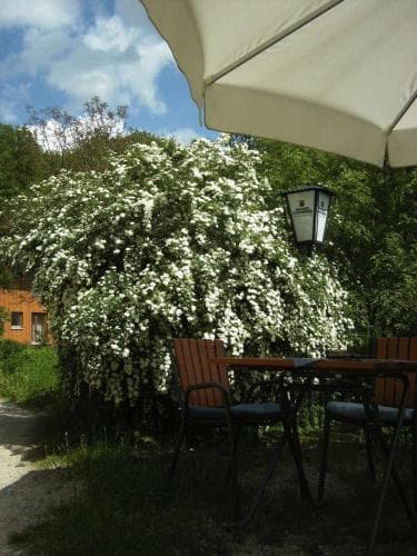 Hotel Grünwald