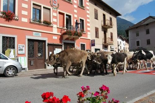 Albergo Carraro