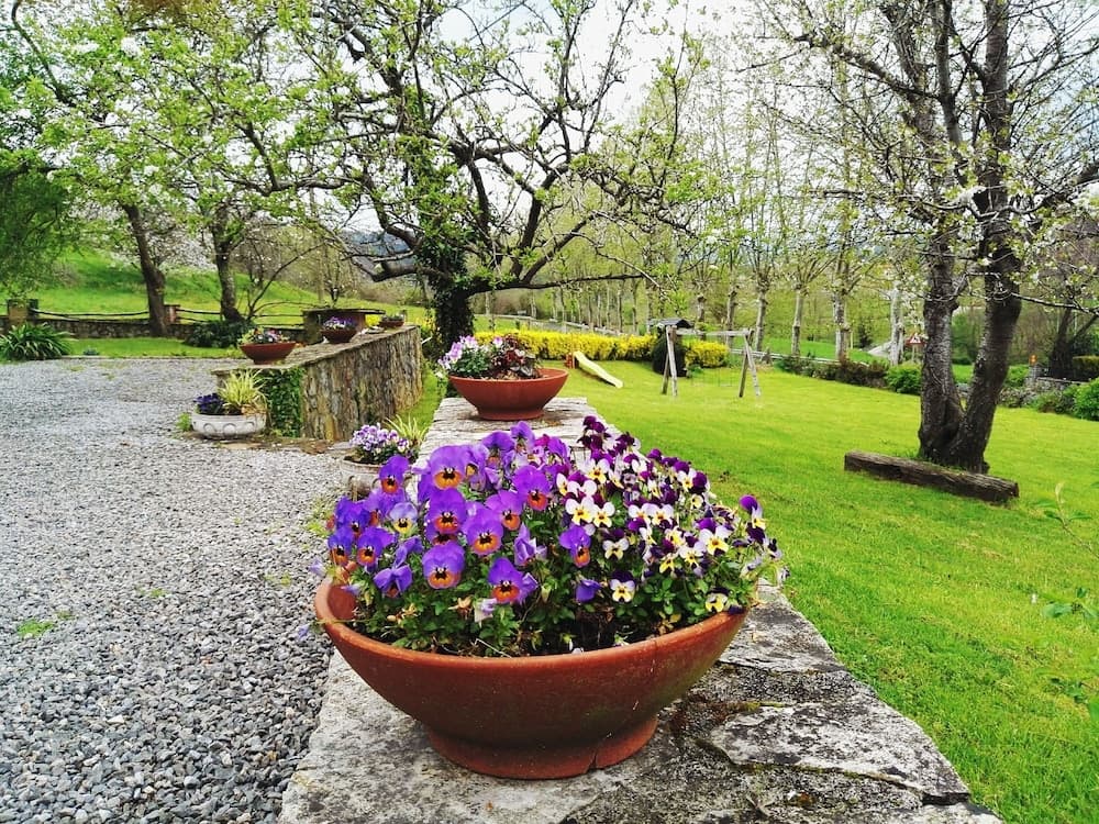 Finca Artienza