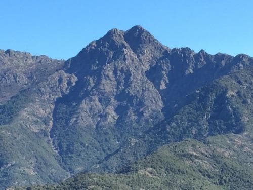 L'Alivi