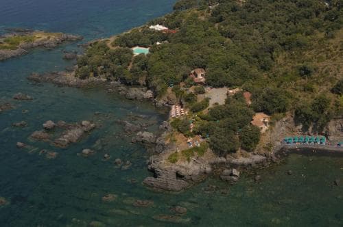 Illicini