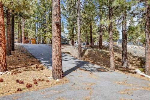 Bruin chalet #2464