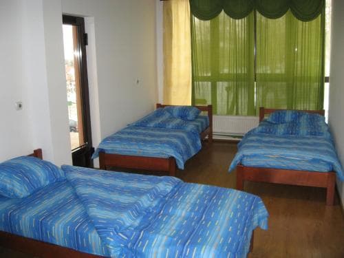 B&B Apolon