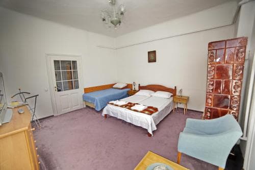 Guesthouse Casa Baciu