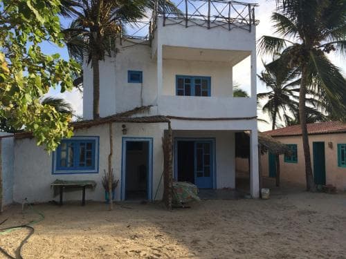 A serene beachside retreat features a white house with blue accents nestled among palm trees, ideal for a tranquil coastal getaway.