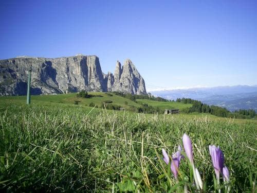 Seiser Alm Urthaler