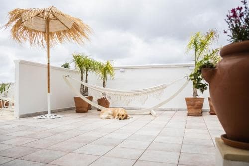 Suite Terranostra