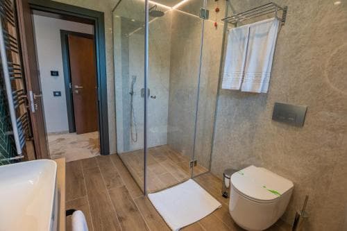 Hotel Codrisor