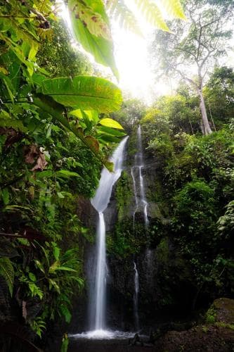 Finca la Holanda