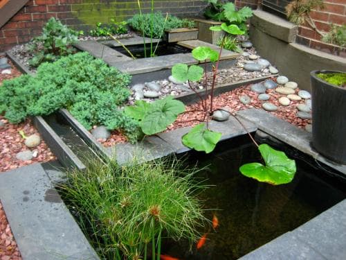 Clarendon Square Bed & Breakfast
