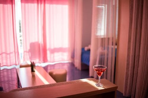 Bed & Breakfast Vila Mina