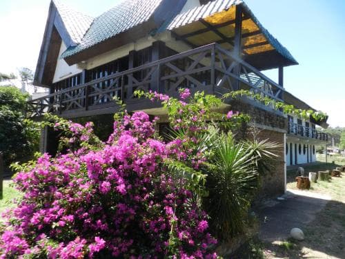 A vibrant scene of a rustic lodge with wooden balconies surrounded by lush purple flowers and greenery, evoking a serene and inviting atmosphere ideal for eco-tourism and nature retreats.
