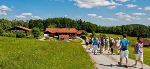 Hotel Chrysantihof