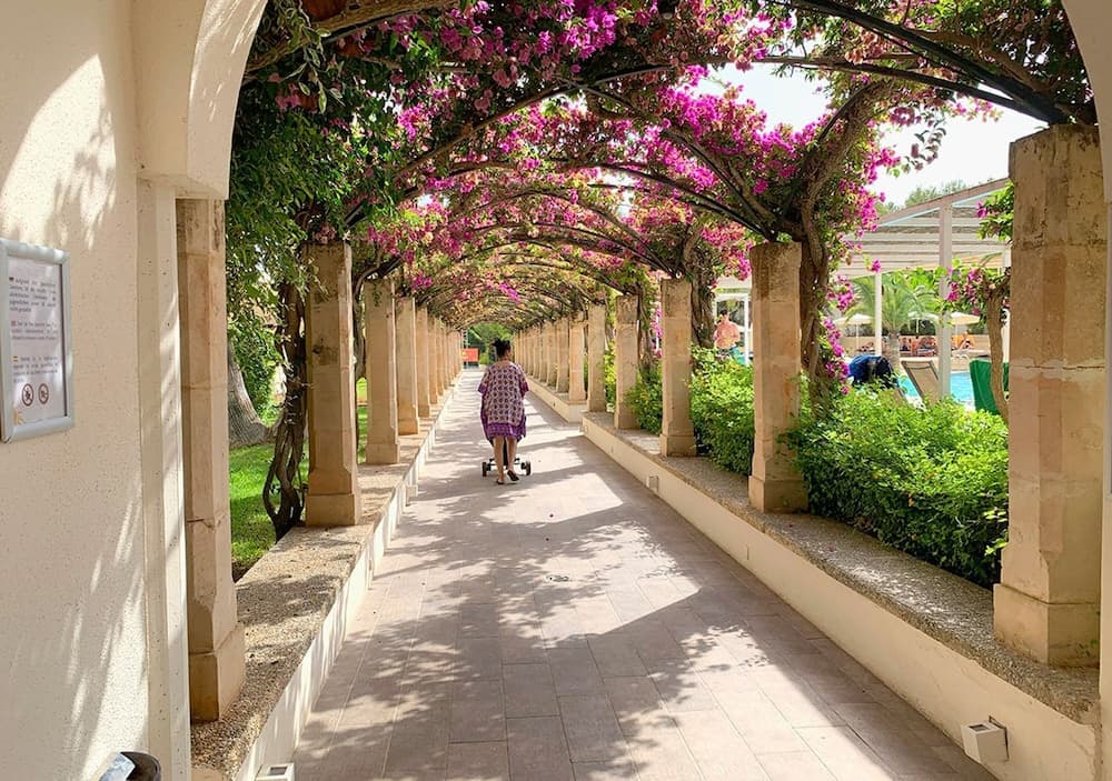 Hotel Intelier Rosella