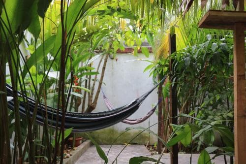 The Amazon Within