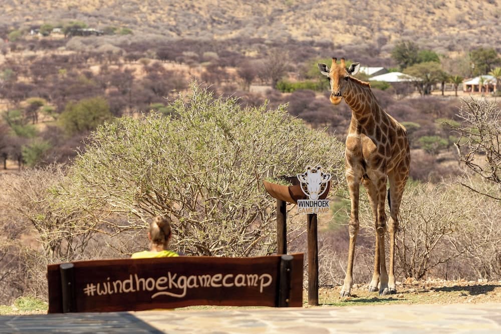 Windhoek Game Camp