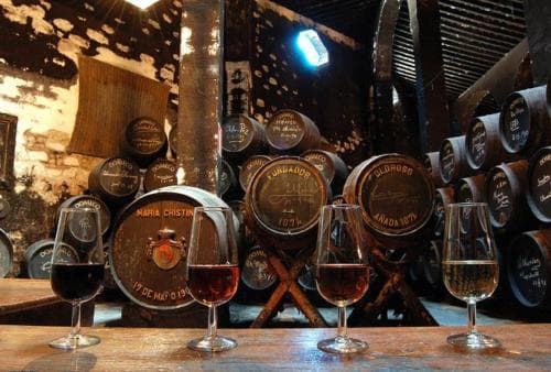 A rustic wine cellar with aged wooden barrels and dim lighting sets an intimate mood, perfect for tasting glasses of red and white wine, ideal for travelers seeking authentic winery experiences.