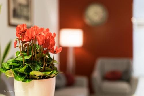 Ottocento Guest House