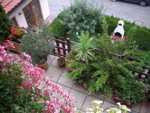 Strampflgut Appartements