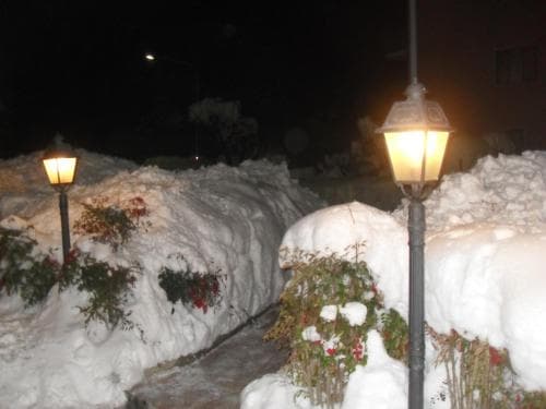 La Collinetta
