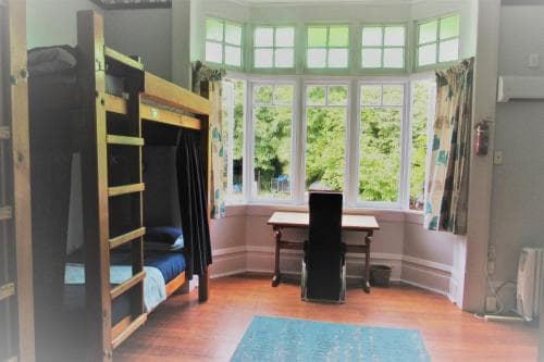 The White Elephant Accommodation - Hostel