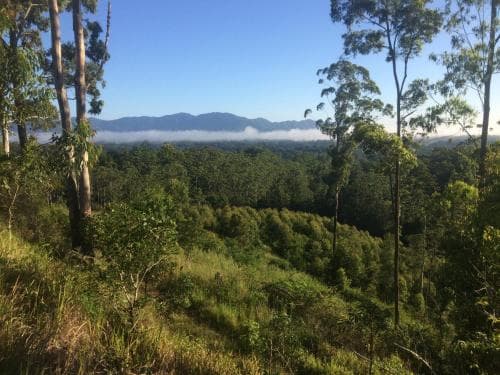 Bellingen Bed and Breakfast