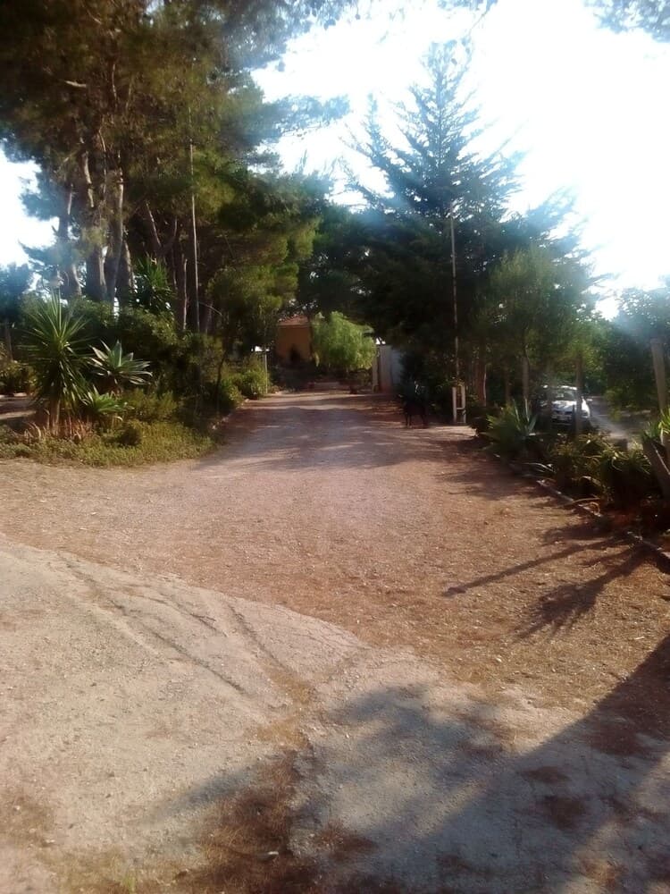 Il Lentisco