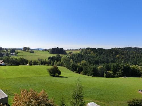 A serene rural landscape featuring lush green fields, scattered trees, and distant hills under a clear blue sky, ideal for tranquil countryside retreats and nature photography.