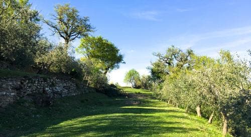 Relais Il Pozzeto