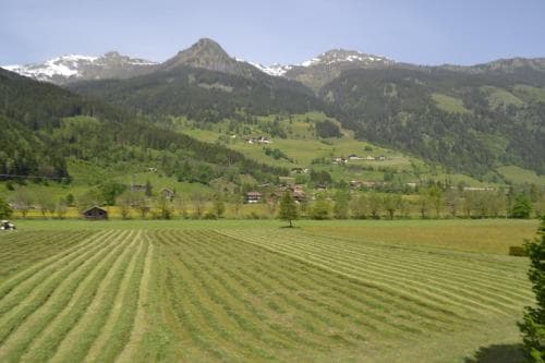 Apartment Rosner