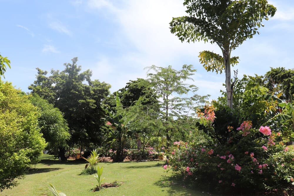 Getaway Negril