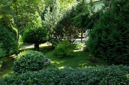 Fortuna Pension