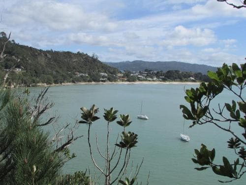 Flaxmill Cove B&B