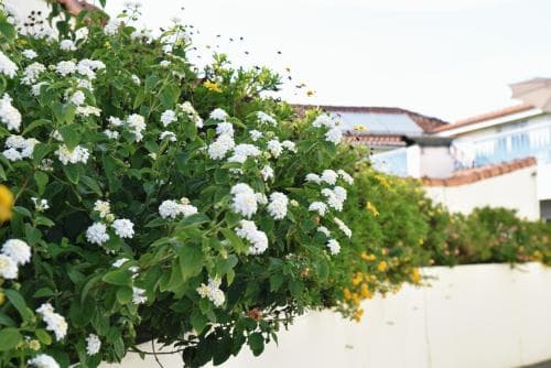 Hotel Aeroporto