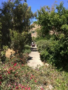 A serene pathway lined with lush greenery and vibrant red flowers invites travelers to explore a tranquil garden setting, perfect for a peaceful retreat or nature photography.