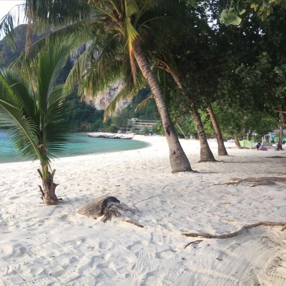 Phi Phi Dream