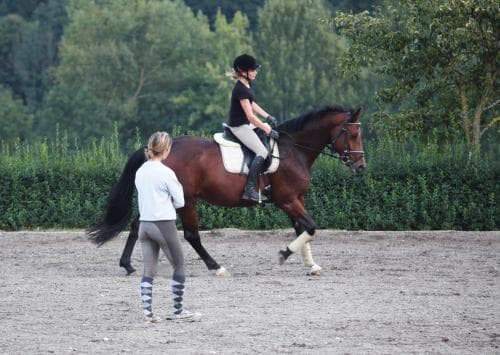 Pichler