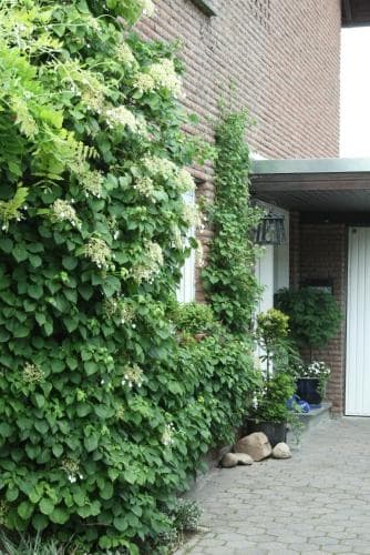 Ferienwohnung Illerhues