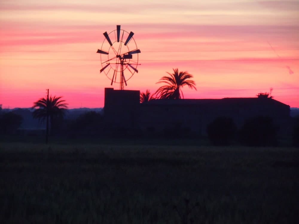 Finca Libertad