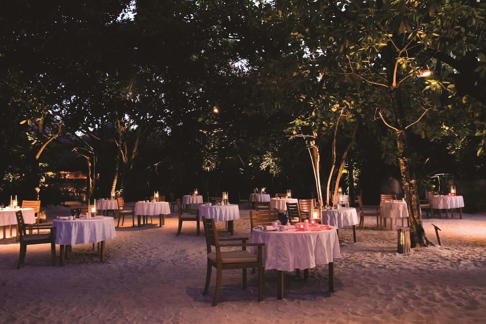 Coco Palm Dhuni Kolhu