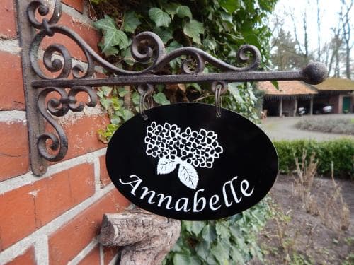 Bed & Breakfast Annabelle