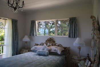 Mangonui Magic