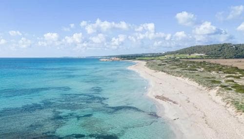 Villas Menorca Sur