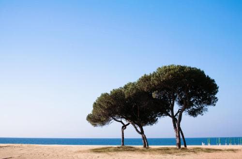 Hotel Califfo