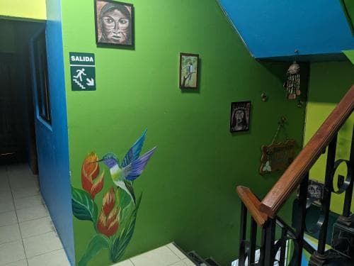 Amazon Dream Hostel